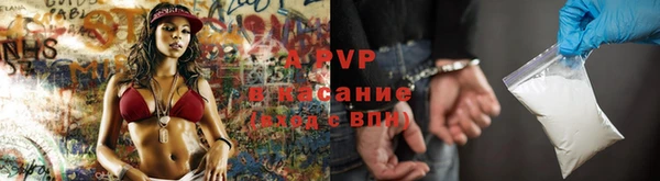 PSILOCYBIN Вяземский