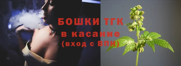 PSILOCYBIN Вяземский