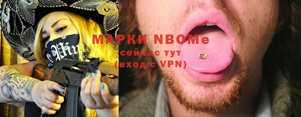 PSILOCYBIN Вяземский