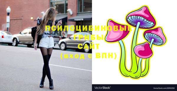 PSILOCYBIN Вяземский