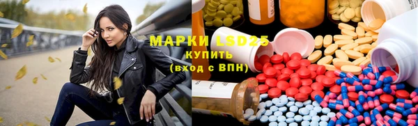 PSILOCYBIN Вяземский