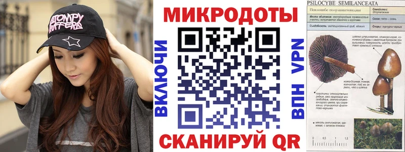 OMG сайт  купить наркоту  Зеленоградск  Галлюциногенные грибы GOLDEN TEACHER 