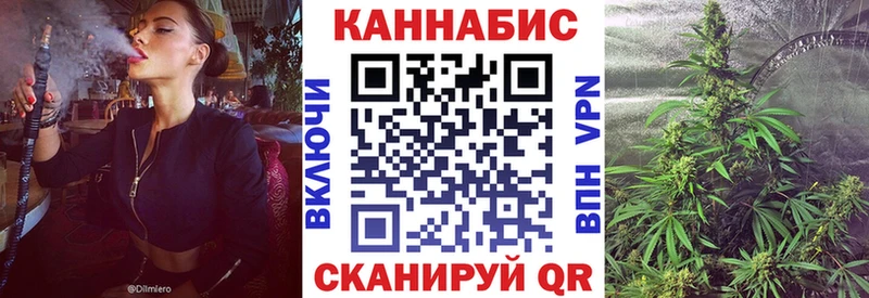 Конопля конопля  Зеленоградск 